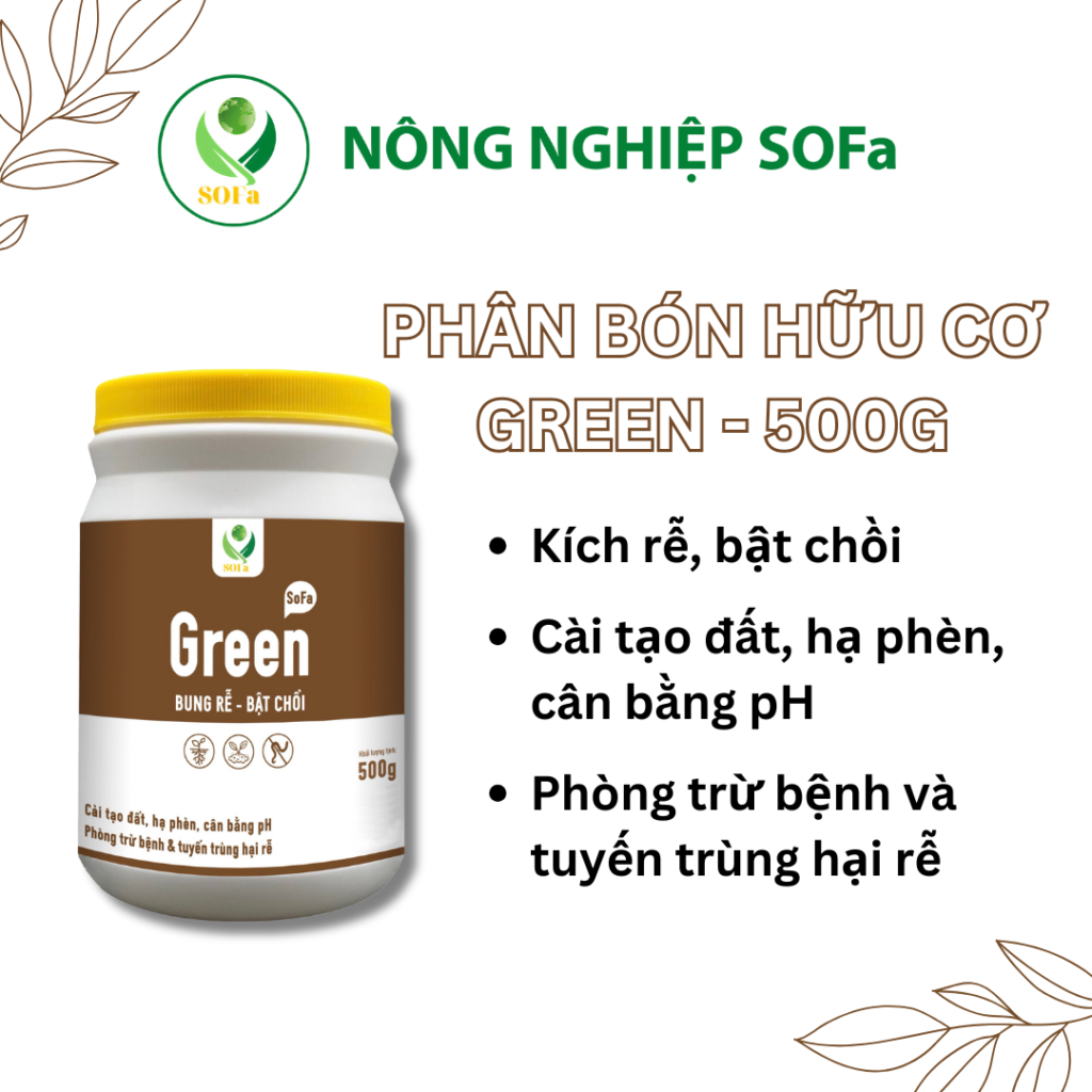 Dinh Dưỡng Kích Rễ Mạnh 