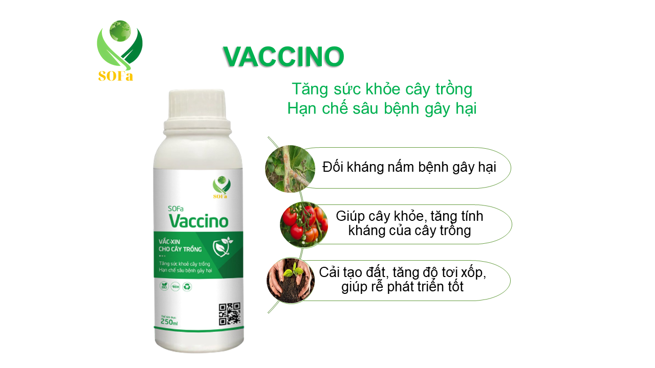 SOFa Vaccino 250ml (nấm chaetomium)