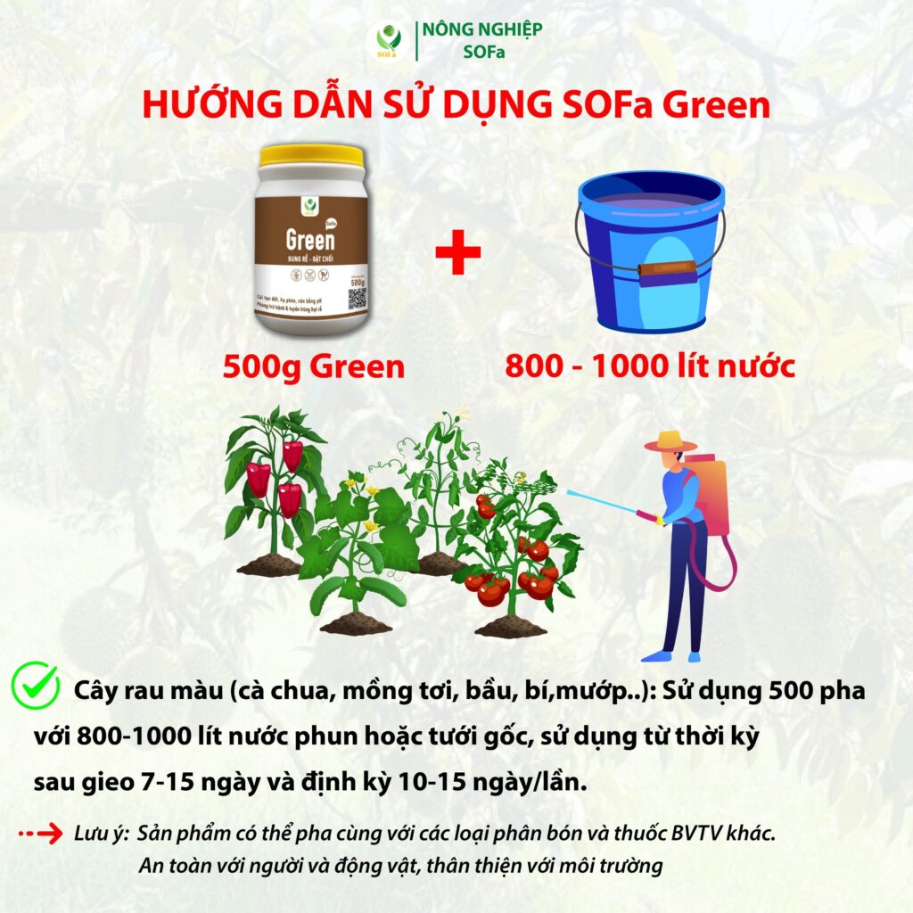 Hướng dẫn sử dụng dinh dưỡng Green