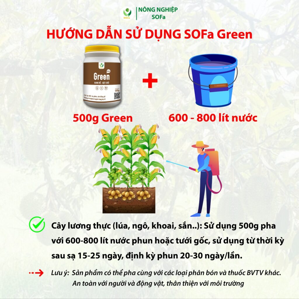 Hướng dẫn sử dụng dinh dưỡng Green