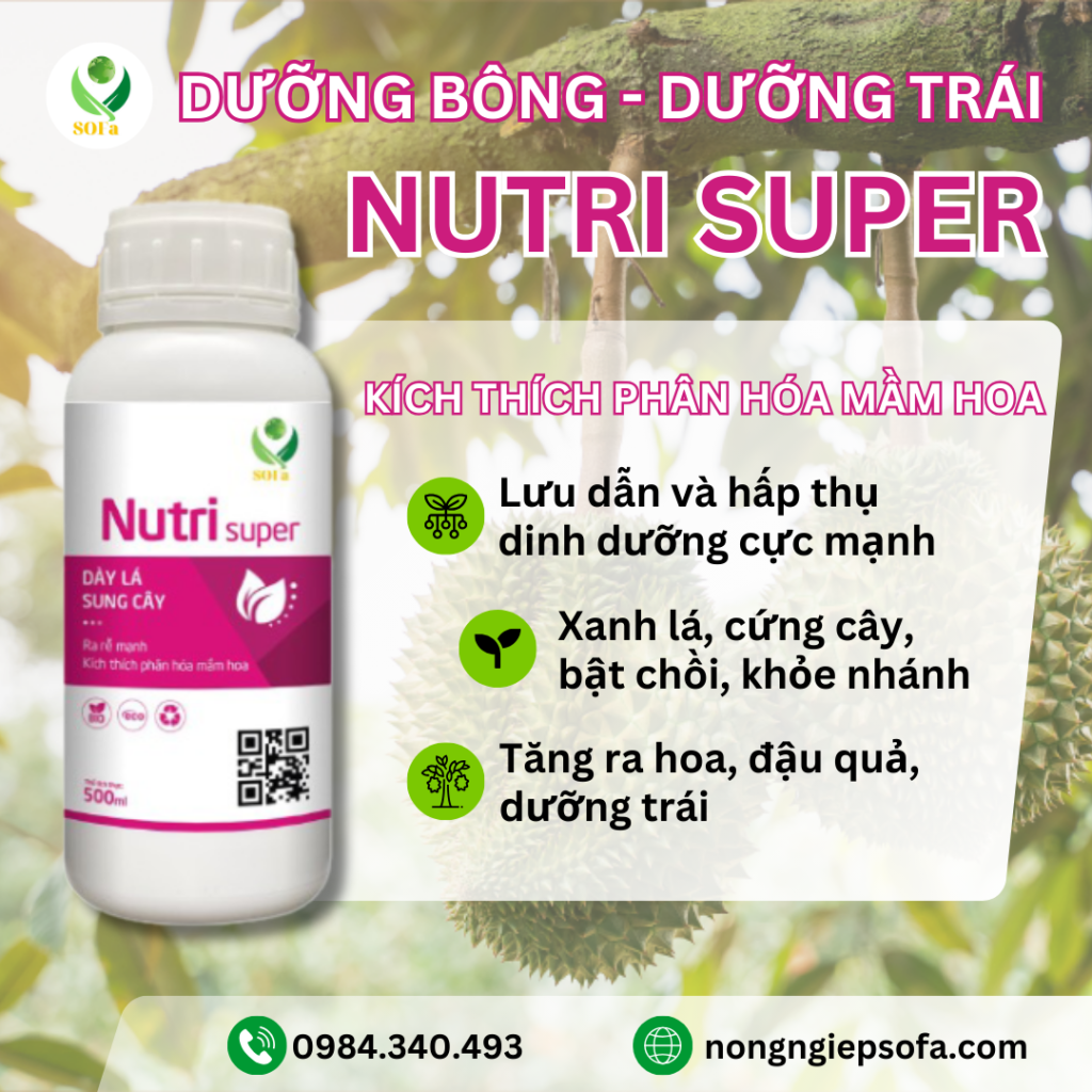 Dinh dưỡng Nutri supper