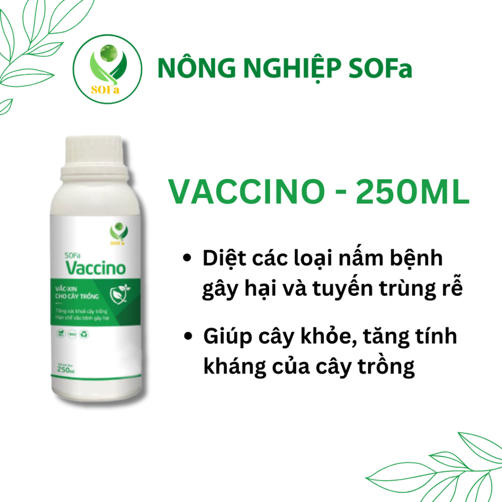 SOFa Vaccino 250ml - Phòng trừ nấm bảo vệ cây trồng ( nấm Chaetomium spp)