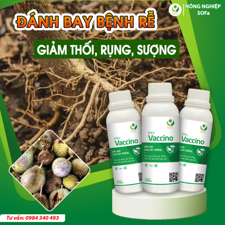 Trừ nấm sinh học - SOFa Vaccino 250ml - Ảnh 4