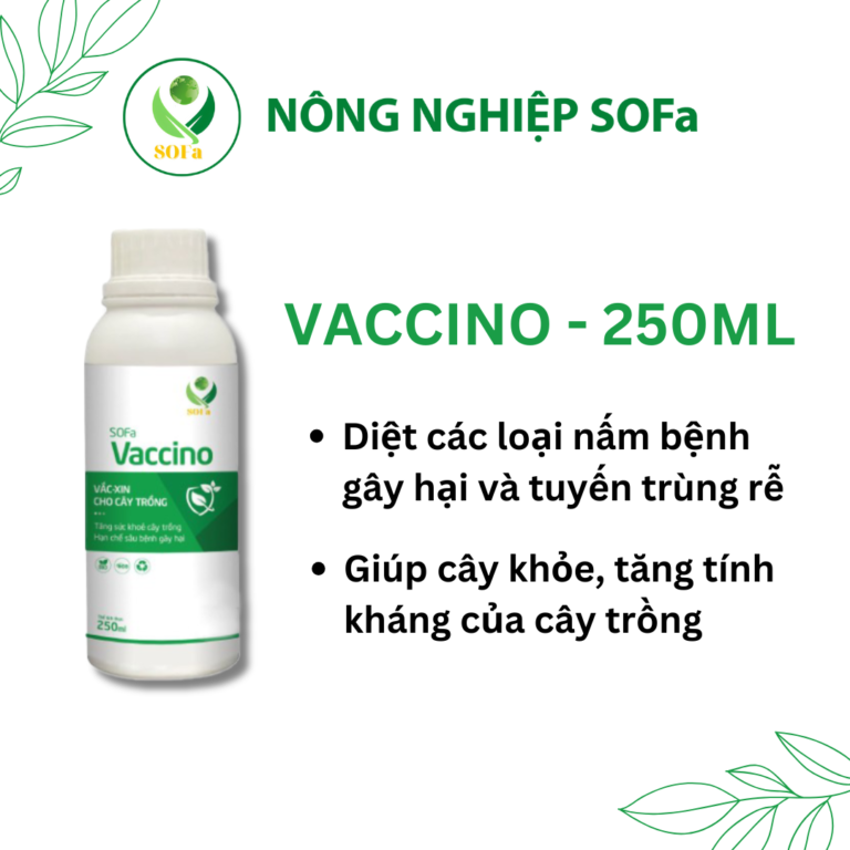 Trừ nấm sinh học - SOFa Vaccino 250ml - Ảnh 2