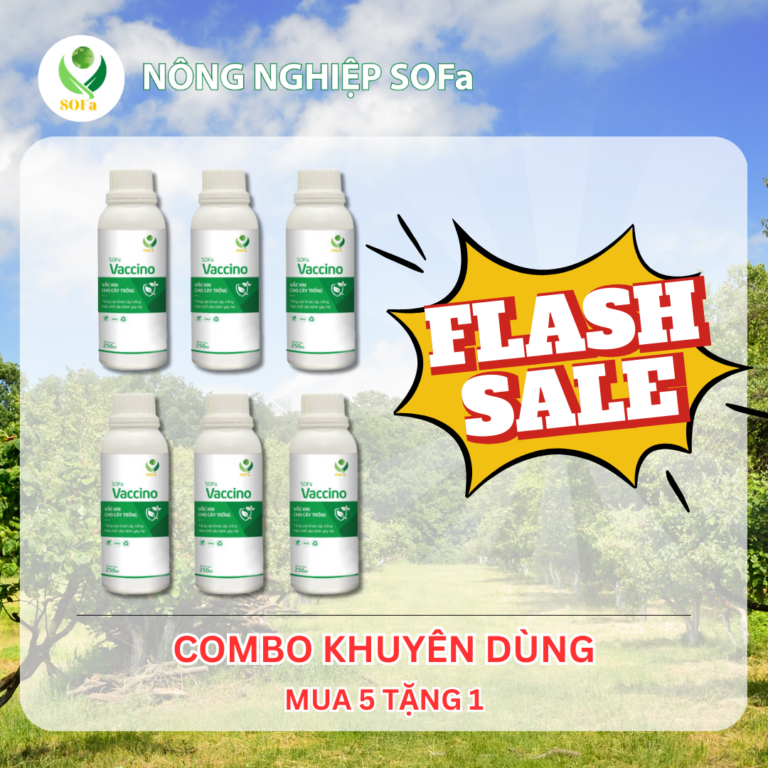 Trừ nấm sinh học - SOFa Vaccino 250ml - Ảnh 8