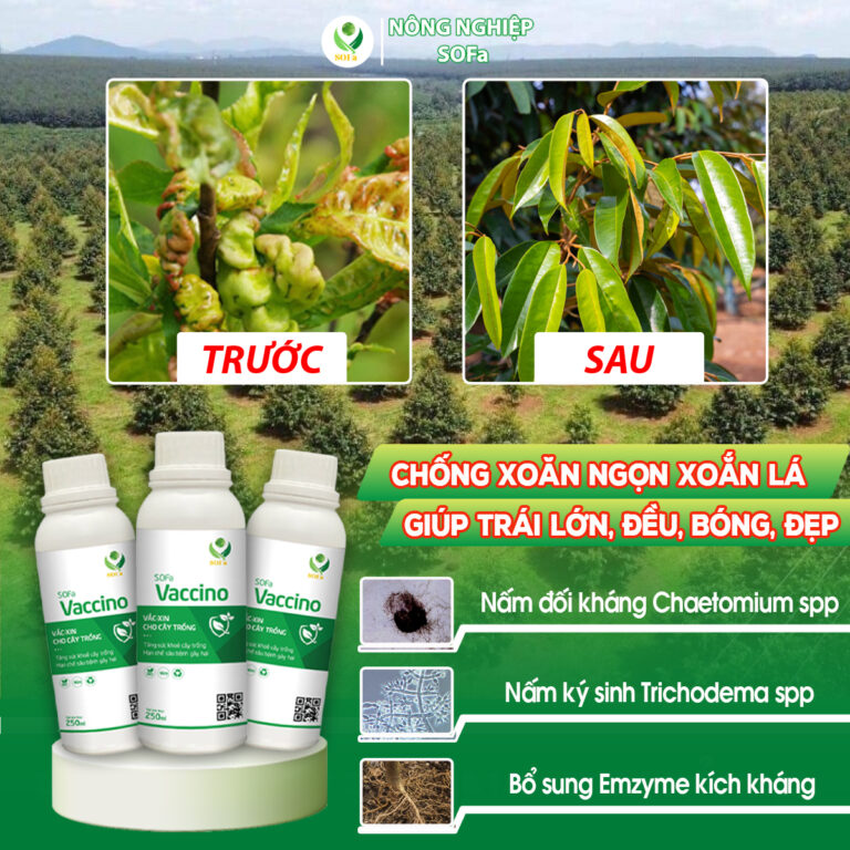 Trừ nấm sinh học - SOFa Vaccino 250ml - Ảnh 5