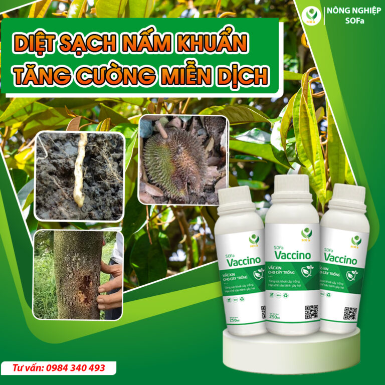 Trừ nấm sinh học - SOFa Vaccino 250ml - Ảnh 6