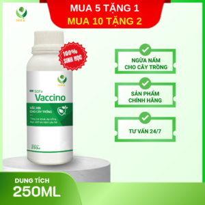Trừ nấm sinh học - SOFa Vaccino 250ml