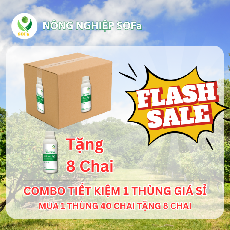 Trừ nấm sinh học - SOFa Vaccino 250ml - Ảnh 10