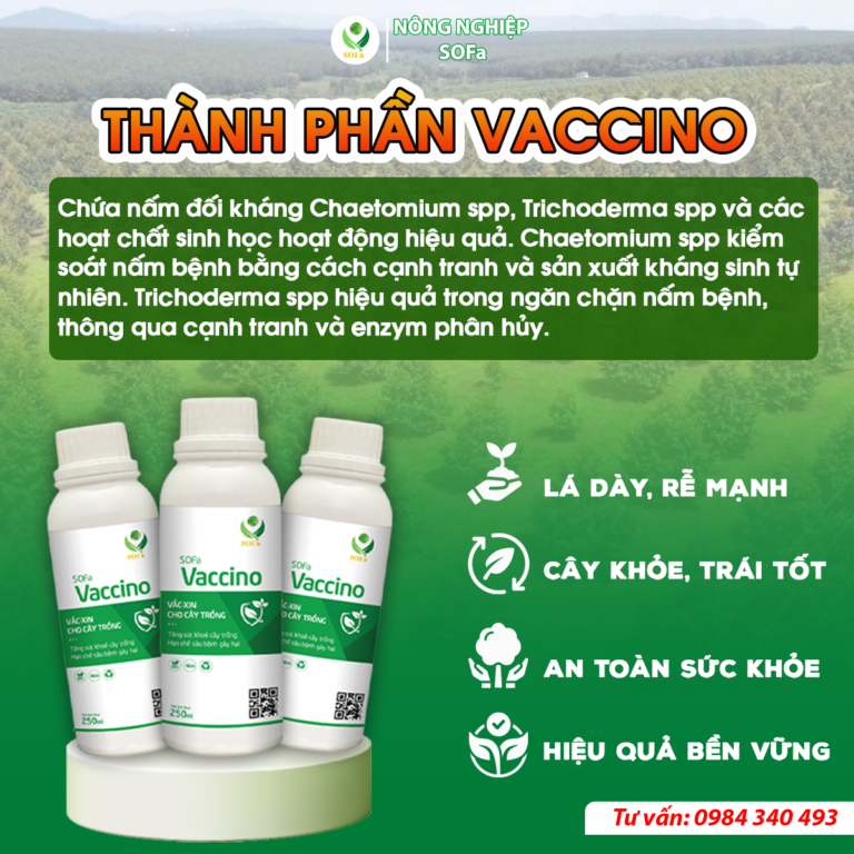 Trừ nấm sinh học - SOFa Vaccino 250ml - Ảnh 7