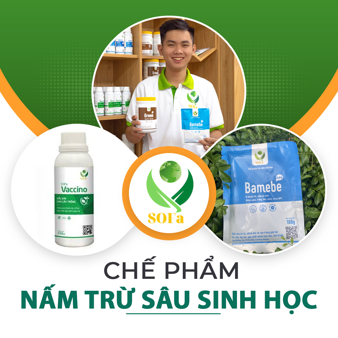 Che pham nam tru sau sinh hoc