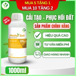 cải tạo đất