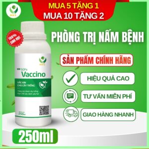 trừ nấm sinh học