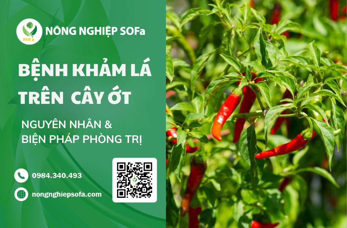 Bệnh khảm lá