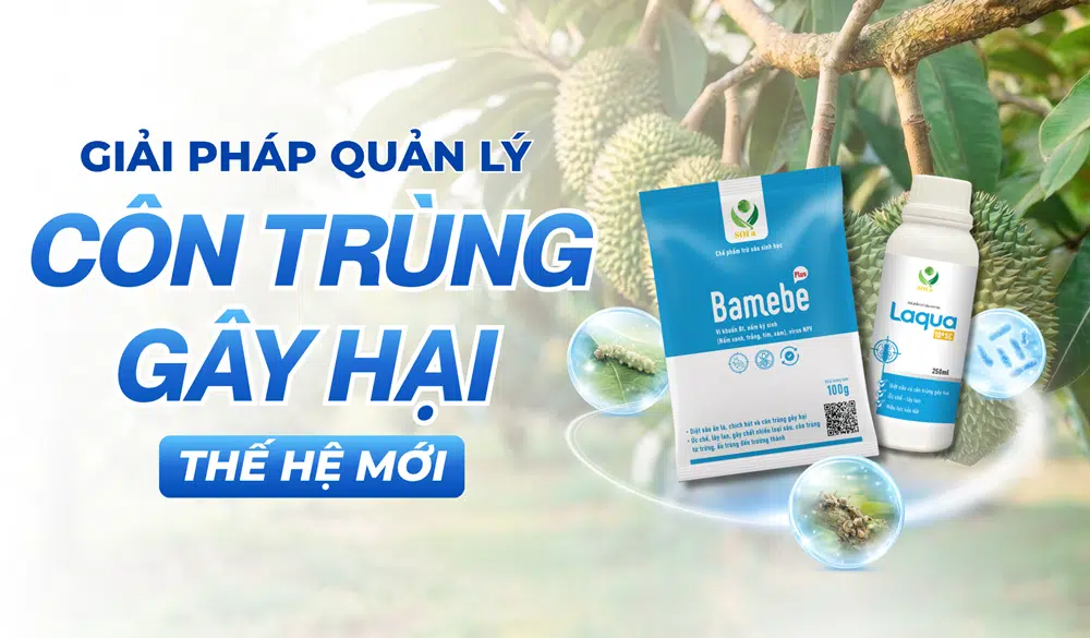TRANG CHỦ 22 Bamebe