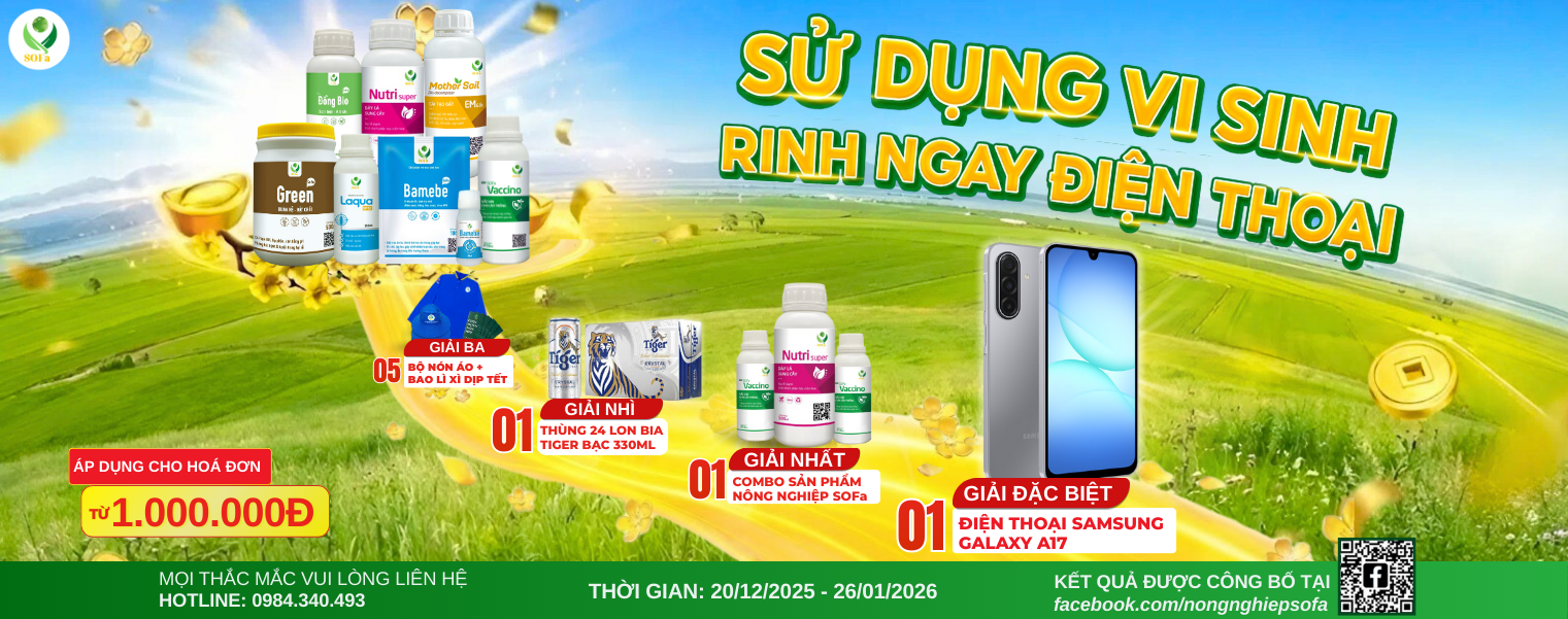 TRANG CHỦ 31 KET QUA DUOC CONG BO TAI 1