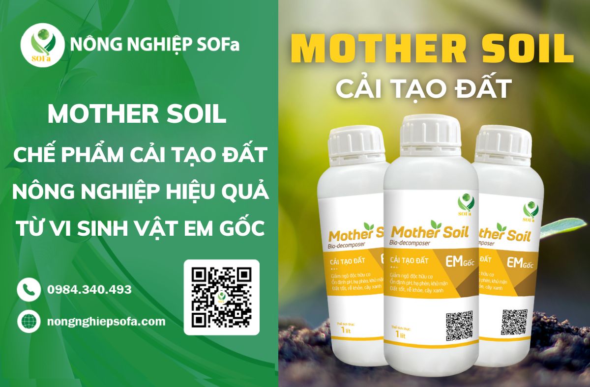 cải tạo đất nông nghiệp