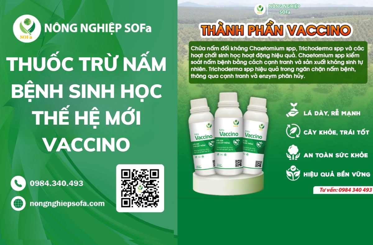 thuốc trừ nấm bệnh sinh học