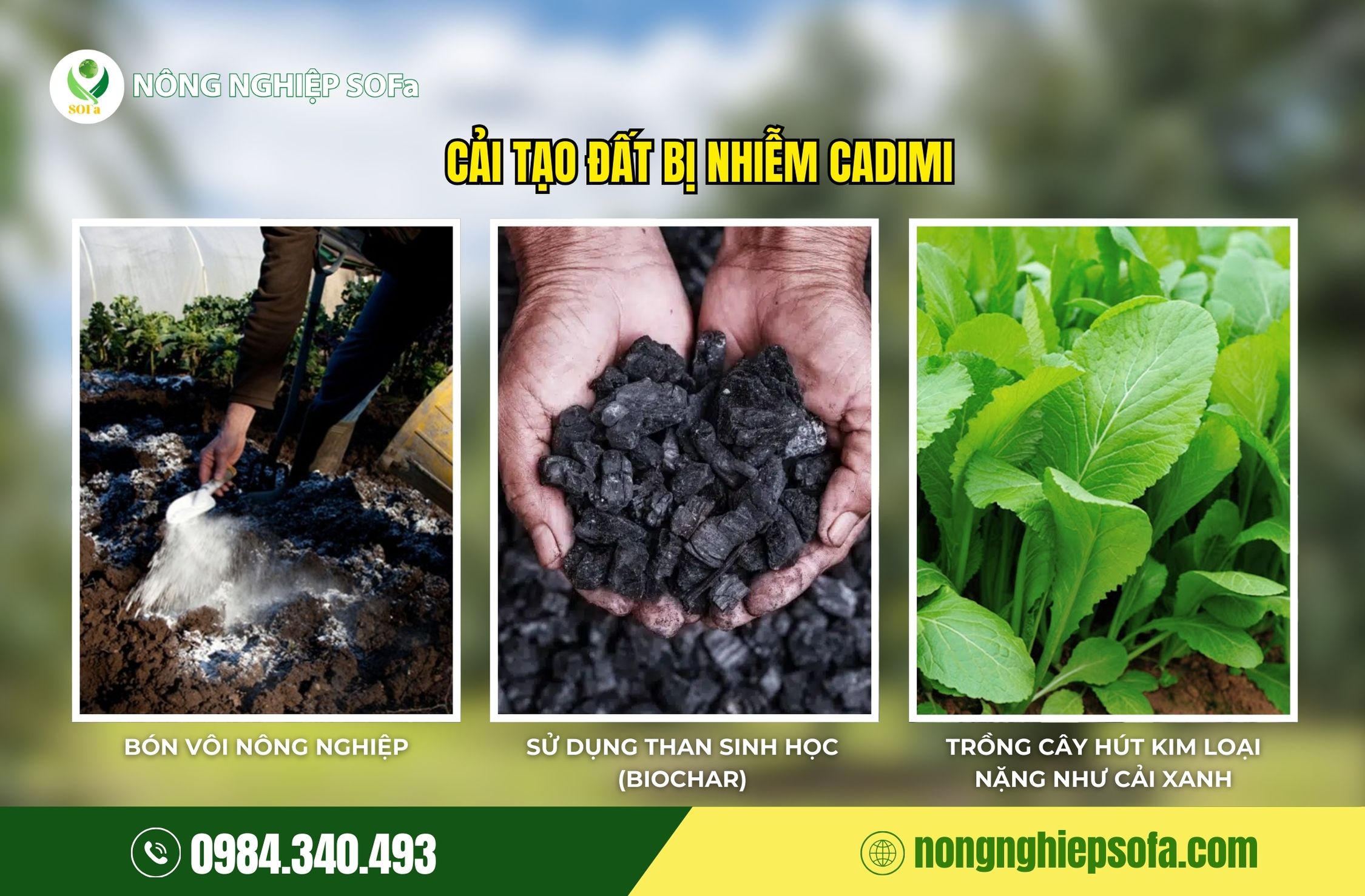 CẢNH BÁO CADIMI TRONG SẦU RIÊNG: HIỂM HỌA SỨC KHỎE VÀ CÁCH XỬ LÝ KỊP THỜI 4 cadimi trong sầu riêng