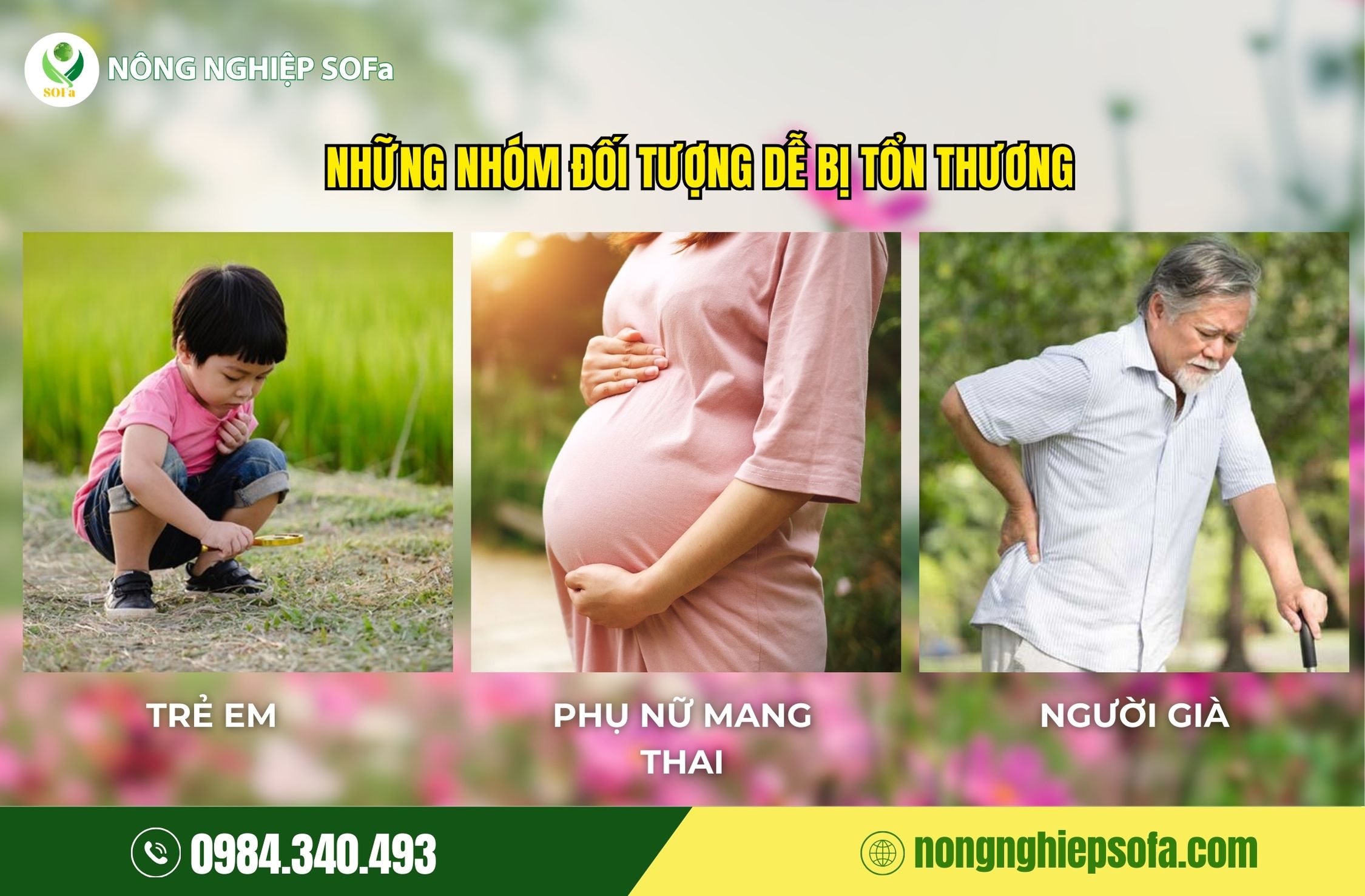 CẢNH BÁO CADIMI TRONG SẦU RIÊNG: HIỂM HỌA SỨC KHỎE VÀ CÁCH XỬ LÝ KỊP THỜI 3 cadimi trong sầu riêng