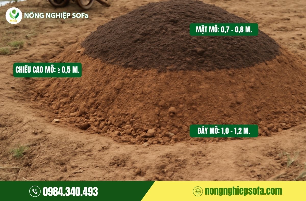 Kỹ thuật trồng sầu riêng chuẩn - Năng suất cao 2 kỹ thuật trồng sầu riêng