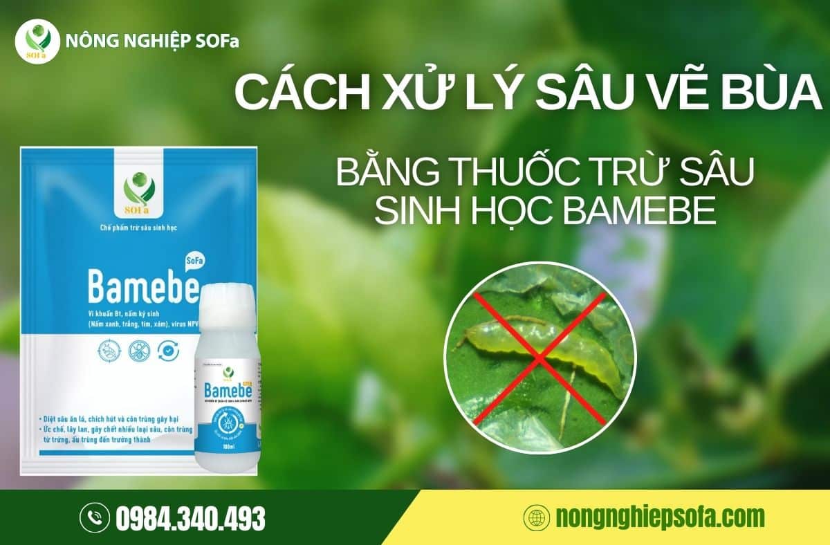 sâu vẽ bùa hại cây