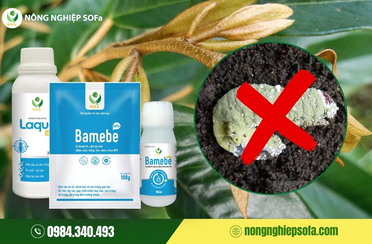 Các loại thuốc trừ sâu sinh học tốt nhất hiện nay 1 các loại thuốc trừ sâu sinh học