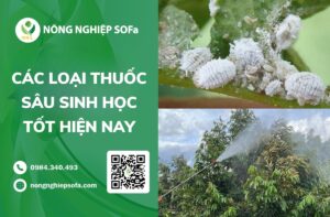 các loại thuốc trừ sâu sinh học