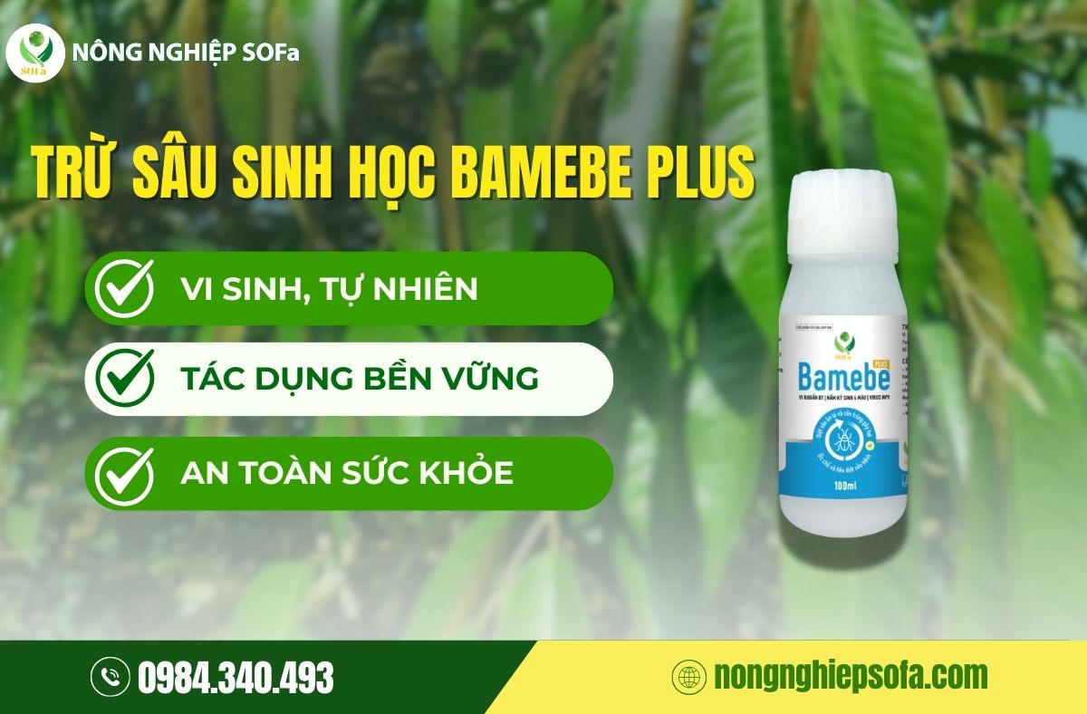 Các loại thuốc trừ sâu sinh học tốt nhất hiện nay 4 các loại thuốc sâu sinh học