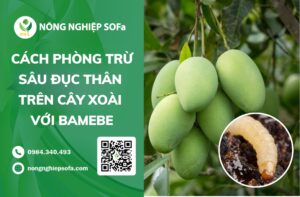 cách phòng trừ sâu đục thân trên cây xoài