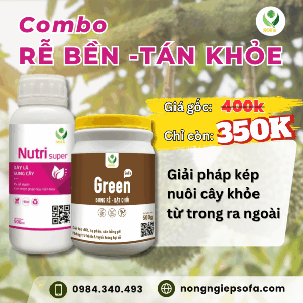 Combo rễ bền tán khoẻ – Kích rễ bật chồi, xanh lá khỏe cây, cải tạo đất, tăng ra hoa đậu quả - Ảnh 2