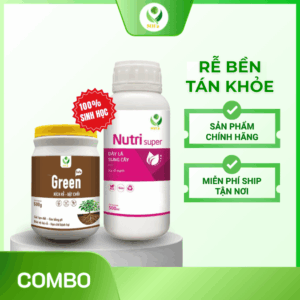 re-ben-tan-khoe