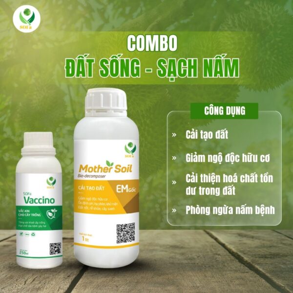 Combo Đất Sống Sạch Nấm – Giải pháp cải tạo đất và ức chế nấm hại rễ hiệu quả - Ảnh 2