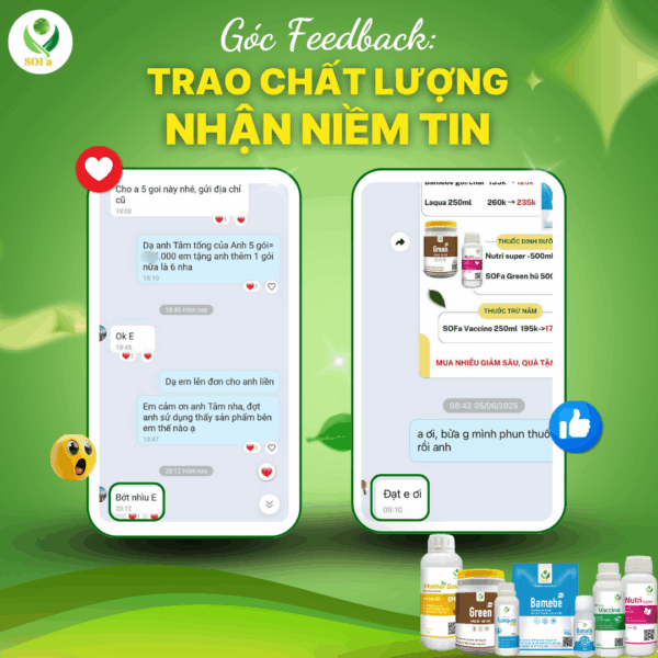 Combo rễ bền tán khoẻ – Kích rễ bật chồi, xanh lá khỏe cây, cải tạo đất, tăng ra hoa đậu quả - Ảnh 4