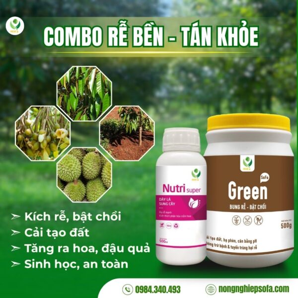 Combo rễ bền tán khoẻ – Kích rễ bật chồi, xanh lá khỏe cây, cải tạo đất, tăng ra hoa đậu quả - Ảnh 3