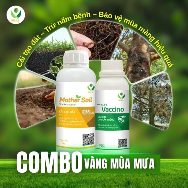 Combo Đất Sống Sạch Nấm – Giải pháp cải tạo đất và ức chế nấm hại rễ hiệu quả - Ảnh 4