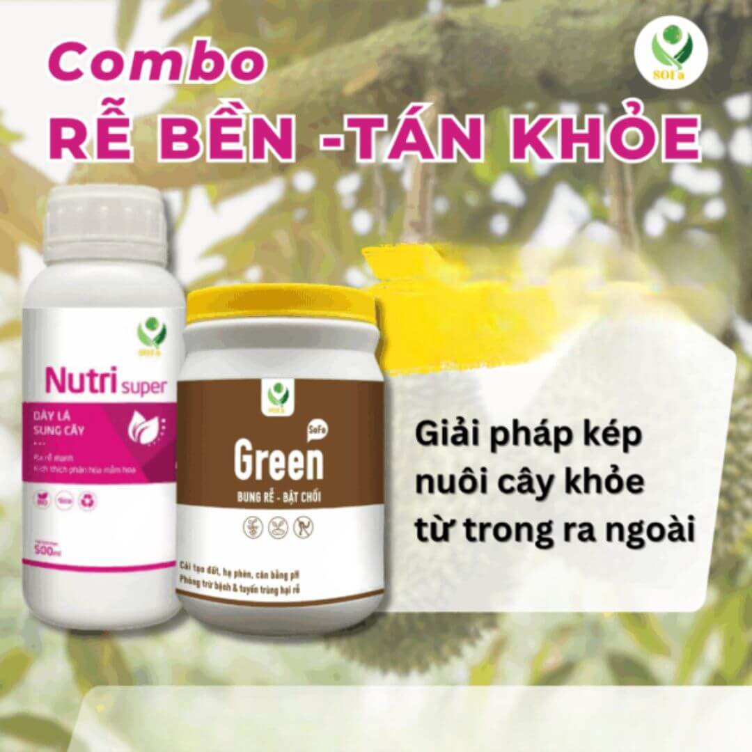 Combo rễ bền tán khoẻ – Kích rễ bật chồi, xanh lá khỏe cây, cải tạo đất, tăng ra hoa đậu quả 100% 3 Combo rễ bền tán khoẻ – Kích rễ bật chồi, xanh lá khỏe cây, cải tạo đất, tăng ra hoa đậu quả 100% - Ảnh 3