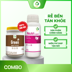 Combo rễ bền tán khoẻ – Kích rễ bật chồi, xanh lá khỏe cây, cải tạo đất, tăng ra hoa đậu quả 100%