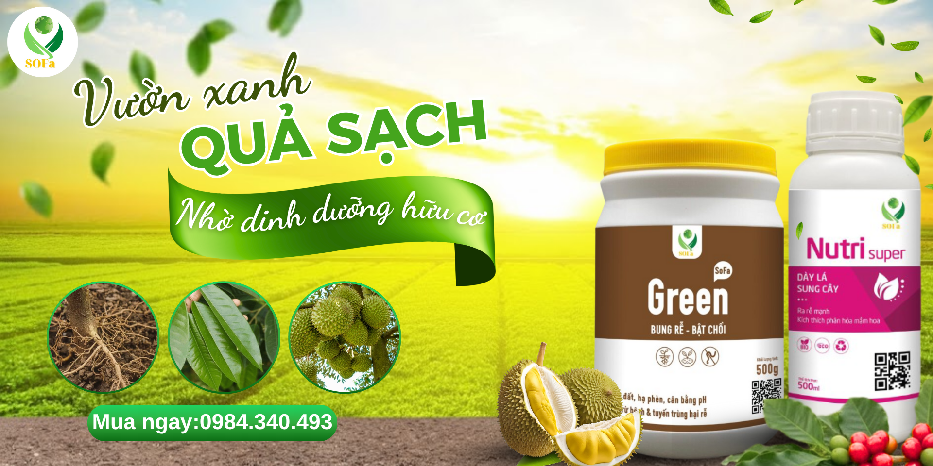 Combo rễ bền tán khoẻ – Kích rễ bật chồi, xanh lá khỏe cây, cải tạo đất, tăng ra hoa đậu quả 8 rễ bền tán khoẻ