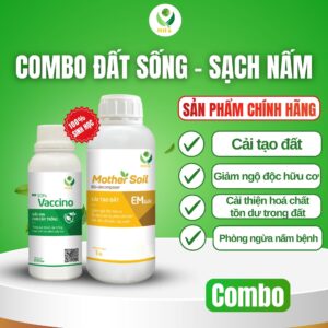 đất sống sạch nấm