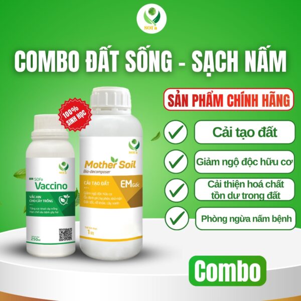đất sống sạch nấm
