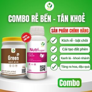 combo rễ bền tán khoẻ