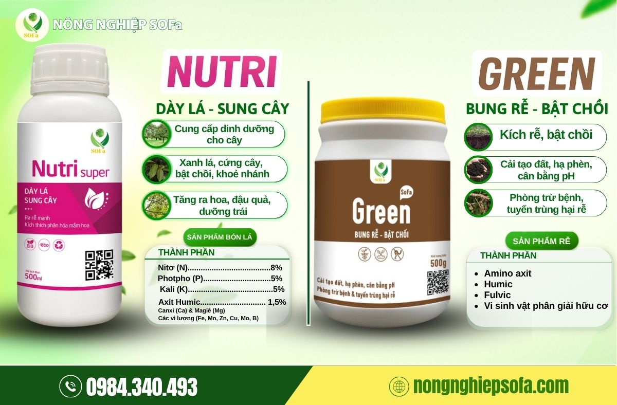 Combo Rễ Bền Tán Khỏe – Giải pháp kép nuôi cây khỏe từ trong ra ngoài 2 combo rễ bền tán khoẻ