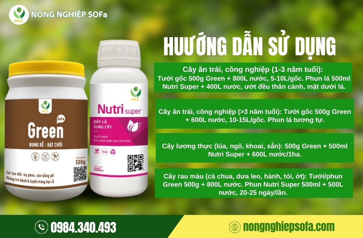 Combo Rễ Bền Tán Khỏe – Giải pháp kép nuôi cây khỏe từ trong ra ngoài 3 combo rễ bền tán khoẻ