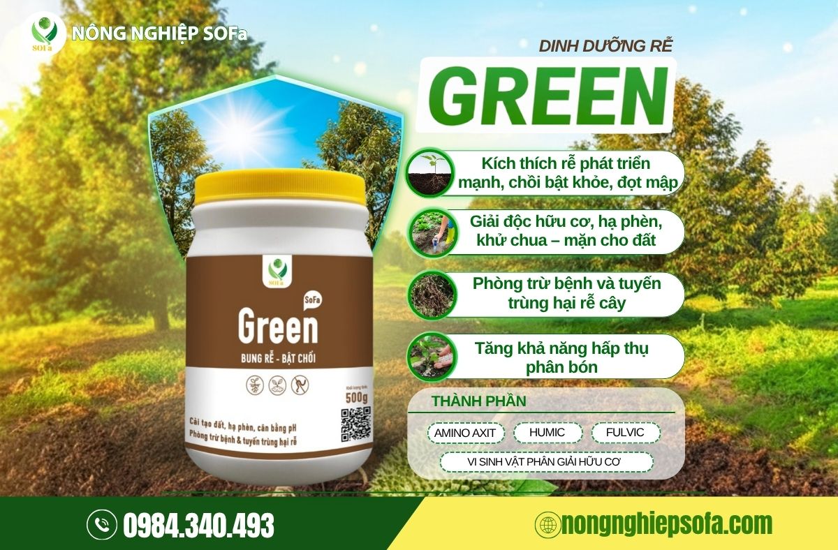 Sản phẩm kích rễ cho cây trồng ra rễ mạnh, đi đọt nhanh - Green 1 sản phẩm kích rễ cho cây trồng