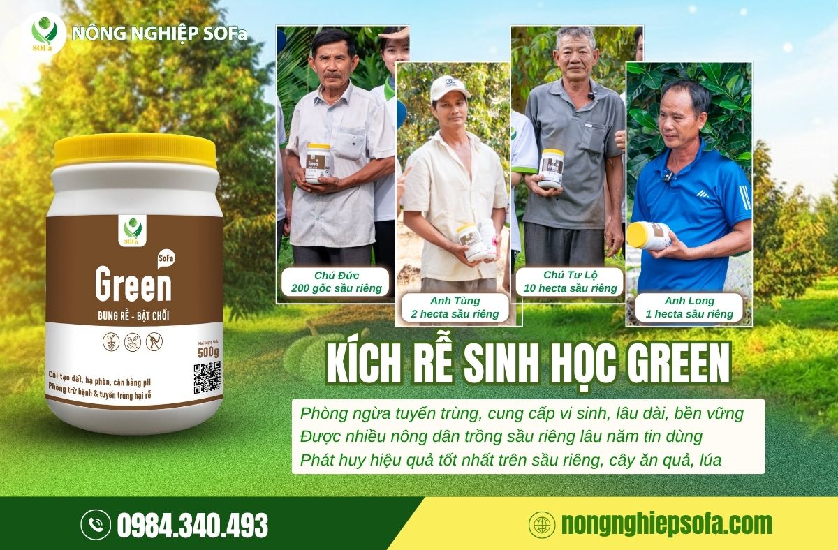 Sản phẩm kích rễ cho cây trồng ra rễ mạnh, đi đọt nhanh - Green 3 sản phẩm kích rễ cho cây trồng