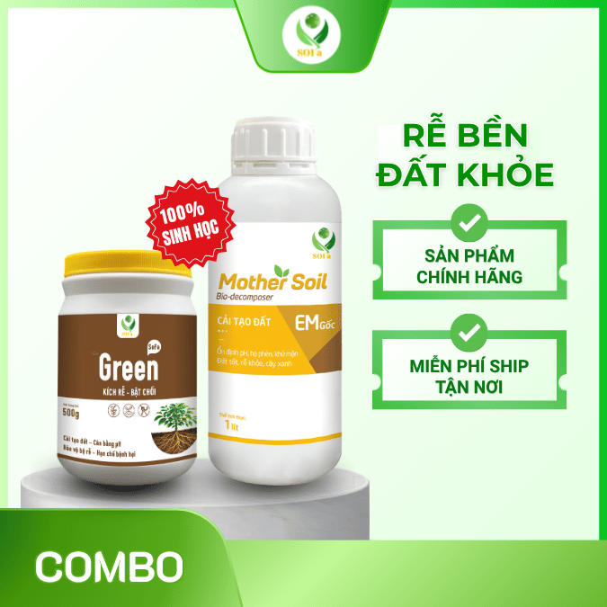 Combo Nuôi Rễ Khỏe Cải Tạo Đất – Giải pháp phục hồi đất trồng, kích rễ khỏe và tăng sức đề kháng cho cây 1 re-ben-dat-khoe