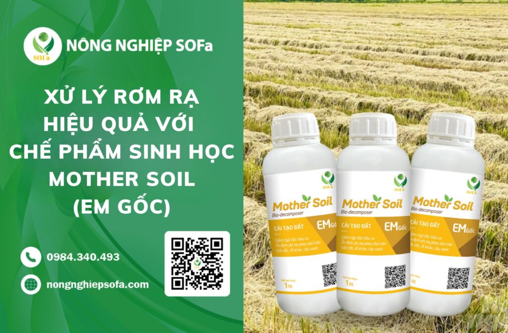 Xử lý rơm rạ