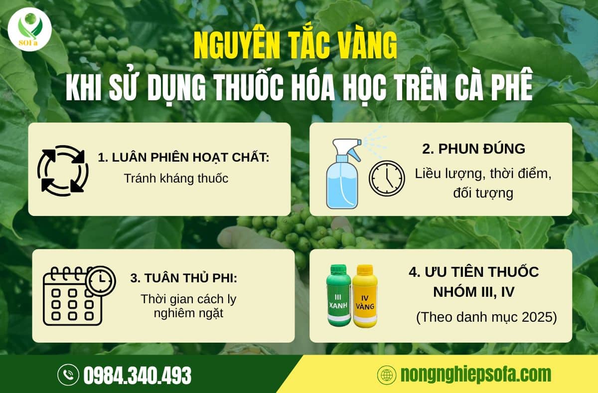 biện pháp phòng trừ sâu bệnh hại cà phê
