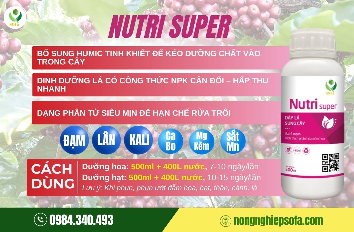 Dấu hiệu cây thiếu dinh dưỡng: Nhận biết sớm và phục hồi nhanh với Nutri Super 5 dấu hiệu cây thiếu dinh dưỡng